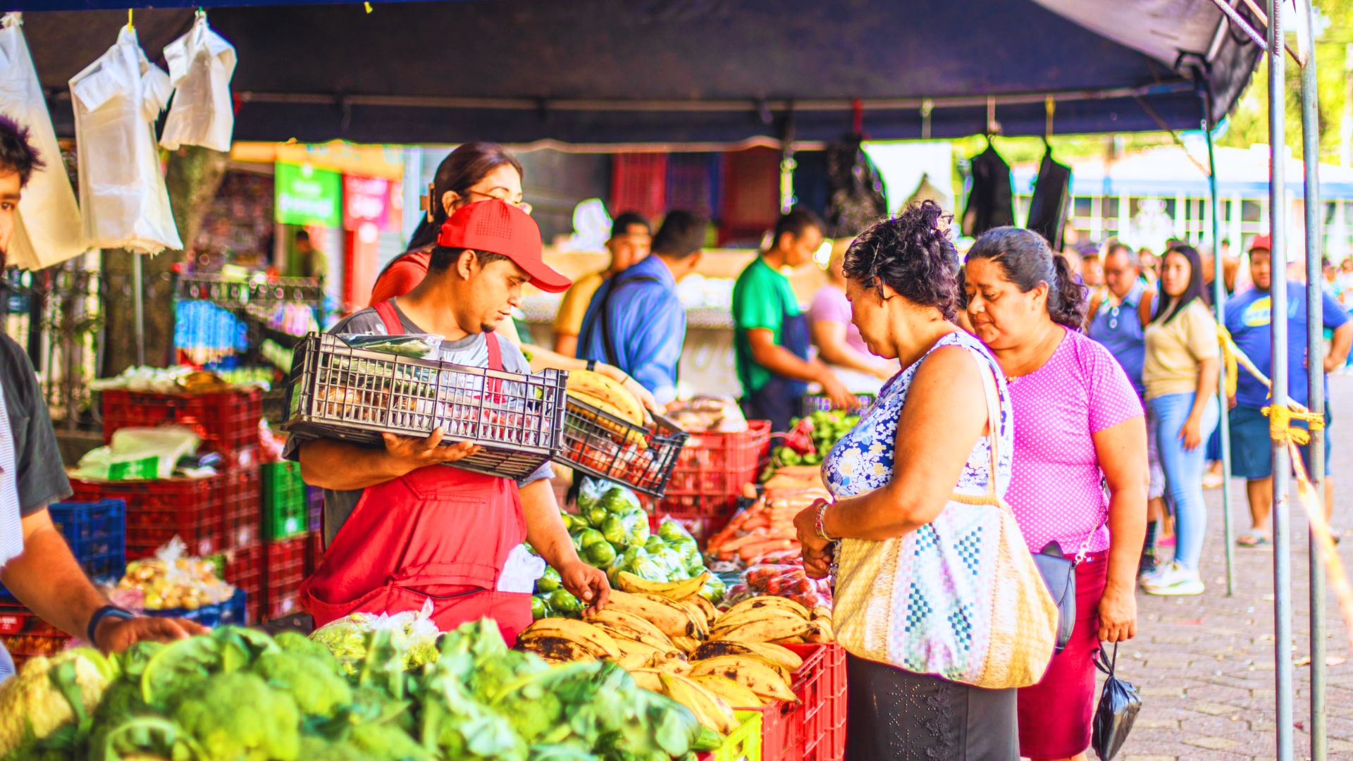 este-lunes-continua-jornada-en-agro-mercados-en-el-pais